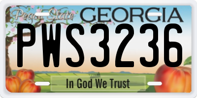 GA license plate PWS3236