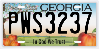 GA license plate PWS3237