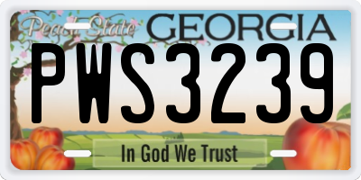 GA license plate PWS3239