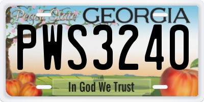GA license plate PWS3240
