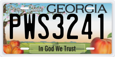GA license plate PWS3241