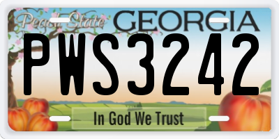 GA license plate PWS3242