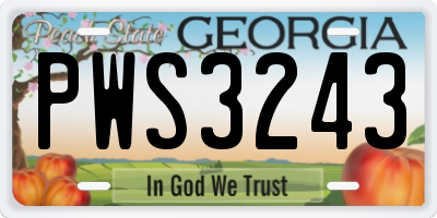 GA license plate PWS3243