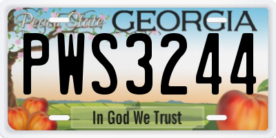 GA license plate PWS3244