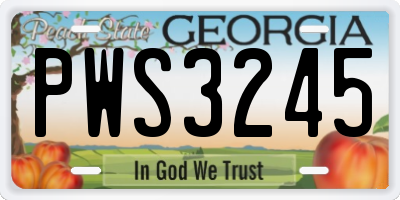GA license plate PWS3245