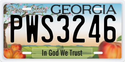 GA license plate PWS3246