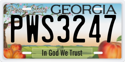 GA license plate PWS3247