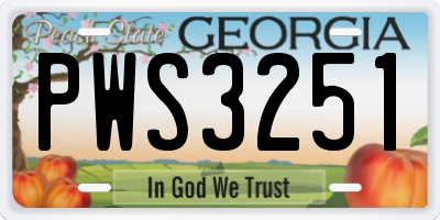 GA license plate PWS3251