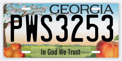 GA license plate PWS3253