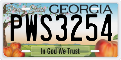 GA license plate PWS3254