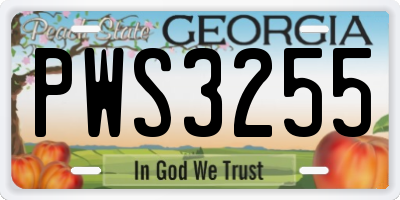 GA license plate PWS3255