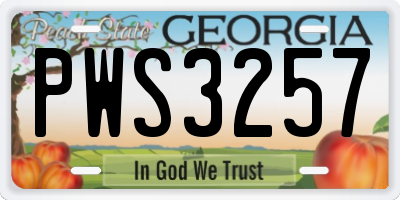 GA license plate PWS3257