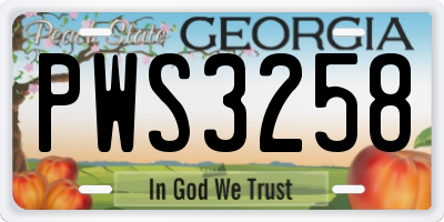 GA license plate PWS3258