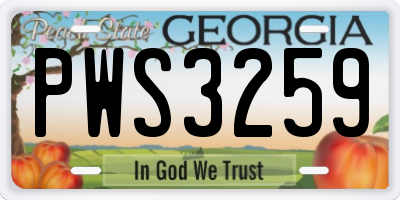 GA license plate PWS3259