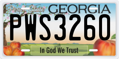 GA license plate PWS3260