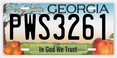 GA license plate PWS3261