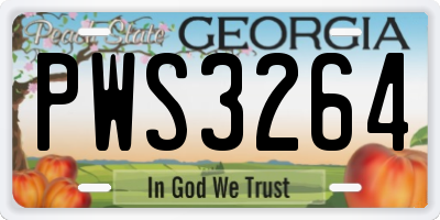GA license plate PWS3264