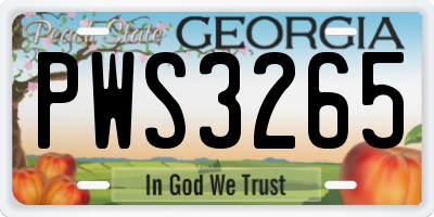 GA license plate PWS3265