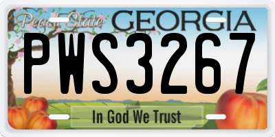 GA license plate PWS3267