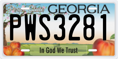 GA license plate PWS3281