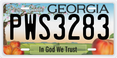 GA license plate PWS3283