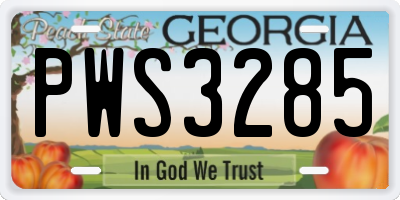 GA license plate PWS3285