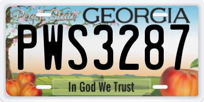 GA license plate PWS3287