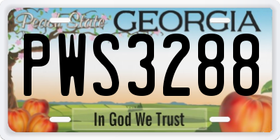 GA license plate PWS3288