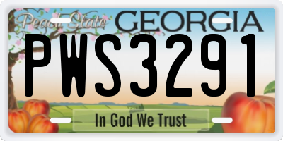 GA license plate PWS3291