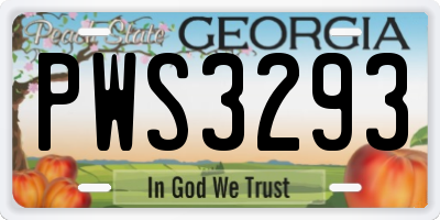 GA license plate PWS3293