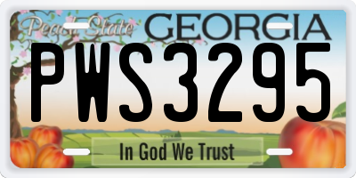 GA license plate PWS3295
