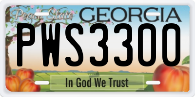 GA license plate PWS3300