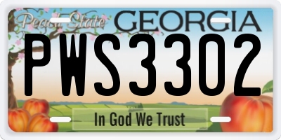 GA license plate PWS3302