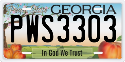 GA license plate PWS3303