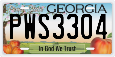 GA license plate PWS3304