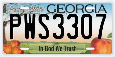 GA license plate PWS3307