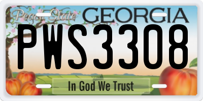 GA license plate PWS3308