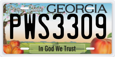 GA license plate PWS3309