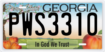 GA license plate PWS3310