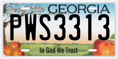 GA license plate PWS3313