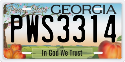 GA license plate PWS3314