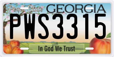 GA license plate PWS3315
