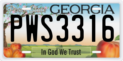GA license plate PWS3316