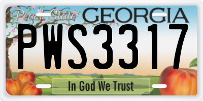 GA license plate PWS3317