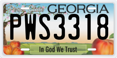GA license plate PWS3318