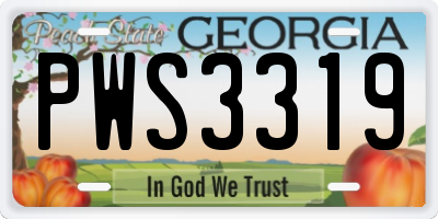 GA license plate PWS3319