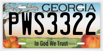 GA license plate PWS3322