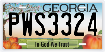 GA license plate PWS3324