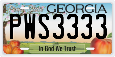 GA license plate PWS3333