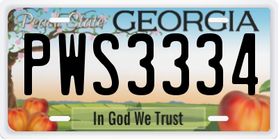 GA license plate PWS3334